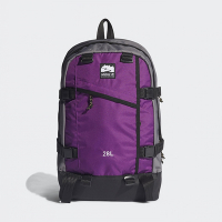 adidas 後背包 運動 大容量 筆電包 登山包 書包 BACKPACK L 紫 H22713