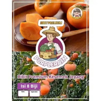 Bibit Premium Kesemek Jepang | Biji Benih Buah Ksemek Persimmon | Biji Bibit Buah Kesemek