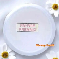 W4APREMMIX Whitening Night Cream Naavagreen 10 gram Original Krim Malam Flek Pencerah Pemutih Bekas 