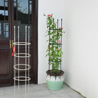 花架爬藤架子鐵線蓮月季花支架花盆植物攀爬支架室內固定花支撐桿