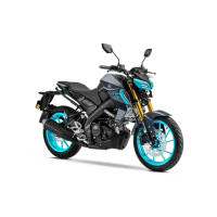 【YAMAHA 山葉】2024 MT-15 貿易車 平輸車(白牌 輕檔 檔車 機車 新手 入門 推薦)