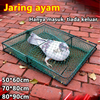 Perangkap Burung Metal Chicken Trap 80*90CM Chicken Cage Orchard Garden Using Bird Hunting Net