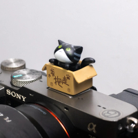 Penutup Hot Shoe Kamera Kucing dalam Kotak Aksesori Kamera DSLR Mirrorless Desain Unik & Fungsi Peli