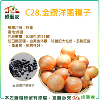 【綠藝家】C28.金鑽洋蔥種子0.38克(約95顆)