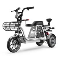 3 Wheels 12inch Electric Bicycle Lithium Battery 48V 400W Electric Bike Parent Child E Bike