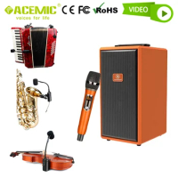 Portable Active PA System with Dual Instrument Saxophone Violin Accordion Microphone Wireless Bluetooth Outdoor Speaker ACEMIC