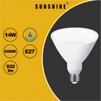 LED燈膽(PAR38射膽) IP65 14W E27大螺頭 白光6500K /  LPAR38D-14D/W