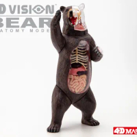 4D Black Bear Intelligence Assembling Toy Animal Organ Anatomy Model Medical Teaching DIY Popular Science Appliances