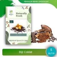 Benih Biji Coklat - Biji Kakao - No frementasi 5 Butir