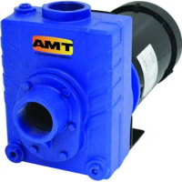 AMT Pump 2761-95 Self-Priming Centrifugal Pump, Cast Iron, 2 HP, 1 Phase, 115/230V, Curve B, 2" NPT Female Suction &amp; Dischar