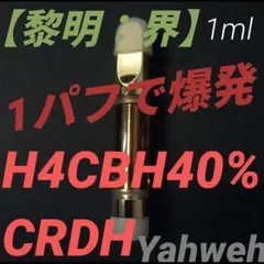 h4cbhの価格比較なら-2025年10月 | BigGo日本