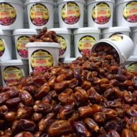 MPL Kurma Khalas Al Qassim Ember TERMURAHHL302