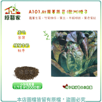 【綠藝家】A101.紅蘿蔓萵苣(台灣)種子1.7克(約2000顆)