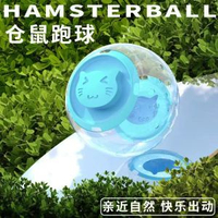 荷蘭豬牽引繩外出防掙脫背心式金絲熊豚鼠溜倉鼠龍貓小寵專用繩子