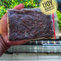 Udang beku pakan ikan hias predator udang rebon 100gr