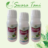 Storenain Mall Ethrel 480 Sl 100 Ml Zpt Pematang Buah Naga Pisang Pepaya ObralGn944