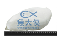 超巨巨-比目魚半洞厚切片(520g/35%冰/片)-1E6A【魚大俠】FH230