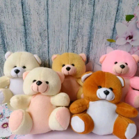 Boneka Beruang & Random Lucu - Mainan Anak-anak - Toys, Doll