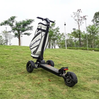 Wheels E7-3 Electric Scooter Golf Skate Stand up 48V Golf Escooter Three-wheel Scooter 1200w Brushless Hub Motor 13A