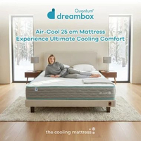 Quantum Dreambox Kasur Dingin Air-Cool 25cm / Cooling Mattress & Kasur Vakum 200 x 200