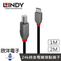 ※ 欣洋電子 ※ LINDY林帝 USB2.0 TYPE-C 公 TO TYPE-B 公 傳輸線 1公尺(36941) 2公尺(36942)