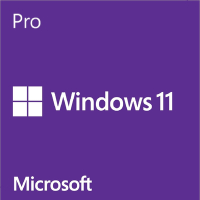 微軟 Microsoft Windows Pro 11 繁中專業-64位元隨機版