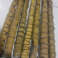 bambu cendani gagang dari ukuran 70 cm sampai 100 cm untuk joran custom