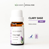 Clary Sage Essential Oil untuk aromatherapy atau dicampur sebagai minyak oles
