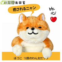 日本SHIBAA創意爆款卡通柴犬公仔抱枕 貓咪玩具卡通玩偶毛絨玩具