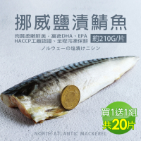 築地一番鮮-厚片超大油質豐厚挪威薄鹽鯖魚10片(約210g片)免運組(買1送1)