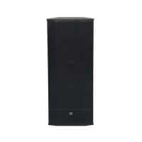Thinuna Dual 15 inch Outdoor Active Full Rang Professional Audio Speaker DJ Sound System with DSP Amplifier Module Subwoofer