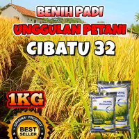 BENIH PADI BERKUALITAS CIBATU32 KEMASAN 1KG