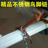鳥腳鏈 防咬開不銹鋼鸚鵡腳鏈裝拆方便/鳥鏈子/金剛/小太陽金太陽和尚等『XY11643』