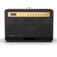 W-KING K6L music box Bluetooth speaker for instruments, with 2pcs microphones