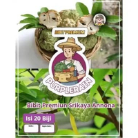 Bibit Premium Srikaya Annona | Biji Bibit Buah Srikaya Sugar |Biji Benih Srikaya