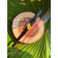 [Tiktok] ** JUMBO SIZE ** ฝักวานิลลา MEXICAN***นำเข้าจากมาดากัสการ์ **เกรด GOURMET 22-25 cm** (MADAG