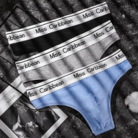 2-piece Men's underwear Sexy U convex sports fitness letter waist cotton low waist non marking briefs T-pants M-XXL