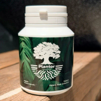 Plantor ผงเร่งรากเห็นผลไว2 เท่า ตัวอัพเกรดrooter เพิ่มวิตามินB2 และสารปรับปรุงดิน