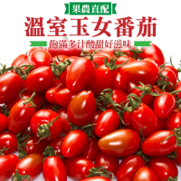 【果農直配】嚴選嘉義玉女番茄4盒(每盒約600g)