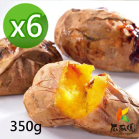 【瓜瓜園】冰烤番薯350gx6盒(台農57號地瓜)