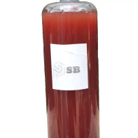 PSB Vi sinh bể cá 1lít PSB + - Sản phẩm vi sinh trong chai 1 lít cho bể cá