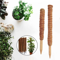 Plant Climbing Coir Totem Po Safe Gardening Coconut