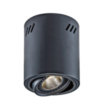 【大巨光】LED COB 15W 吸頂筒燈(LW-11-5145)