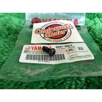 Baut Klem Botol Rasio F1zr Series Dan Pulser Original Yamaha F1zr F1z Force 1 Rx King Rxs