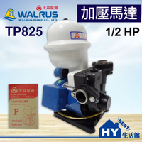 大井泵浦 TP825 加壓馬達。1/2HP 不生銹 塑鋼抽水機 加壓機 抽水機。附無水斷電 另售 TP820