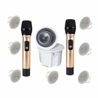 Home Theater System wireless WIFI BT ceiling TV speaker with karaoke wireless microphone