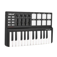 Worlde Panda Midi Keyboard Mini ​25 Velocity-sensitive Keys USB Powered with Portable Keyboard and Drum Pad MIDI Controller