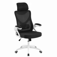 Back Ergonomic Mesh Office Chair with Adjustable Padded Headrest, White/Black
