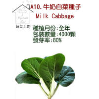 【蔬菜工坊】A10.牛奶白菜種子
