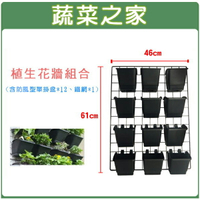 【蔬菜之家005-B03】植生花牆組合(含防風型單掛盆*12、鐵網*1)植生牆